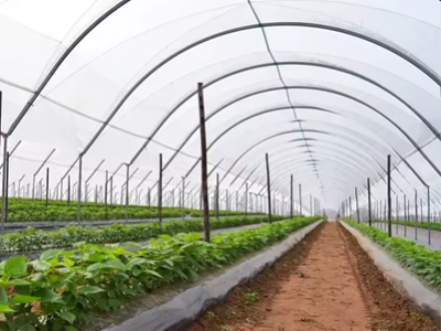 Agrofilm Invernadero
